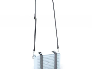 Dior and rimowa clutch shoulder collection 3D Model