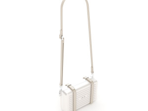Dior and rimowa clutch shoulder collection 3D 모델
