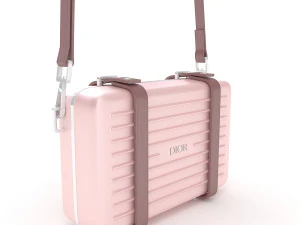 Dior and rimowa clutch shoulder collection 3D Model