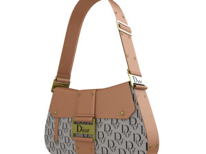 Dior Street Chic bag Brown Black Print 3Dモデル