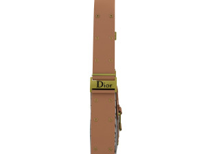 Dior Street Chic bag Brown Black Print Model 3D