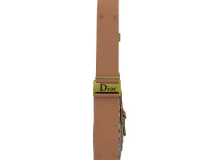 Dior Street Chic bag Brown Black Print 3D Model