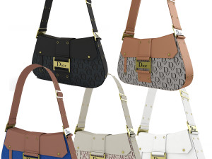 Dior Street Chic bag Collection 3D 모델