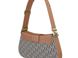 Dior Street Chic bag Collection 3D Model