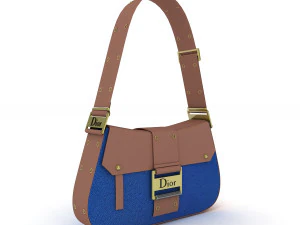 Dior Street Chic bag Collection 3D Model