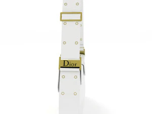 Dior Street Chic bag Collection 3D Model
