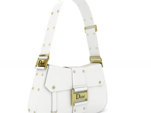 Dior Street Chic bag Collection 3D Model