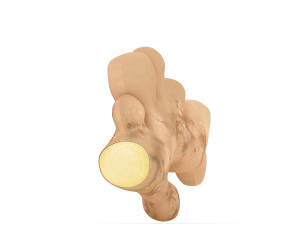 Root Ginger 3D मॉडल