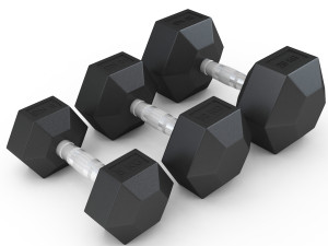 Dumbel Set 3D Model