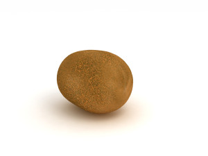 Kiwi 3D Model