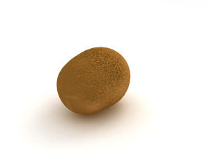 Kiwi 3D Model