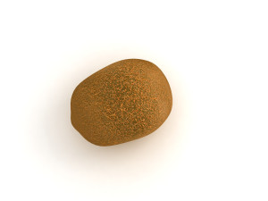 Kiwi 3D Model