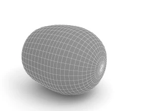 Kiwi 3D Model