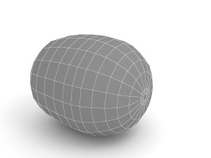 Kiwi 3D Model