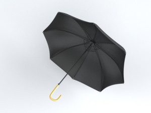 Umbrella Classic Open 3D Model