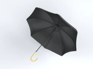 Umbrella Classic Open 3D Model