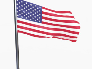USA FLAG 3D Model