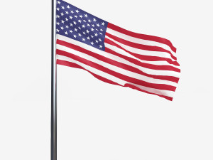 USA FLAG 3D Model