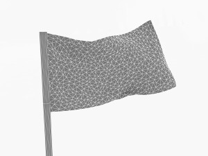 USA FLAG 3D Model