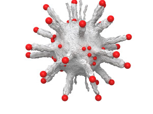 Corona Virus 3D Model