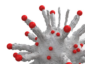 Corona Virus 3D Модель