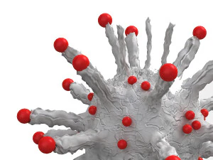 Corona Virus 3D Model