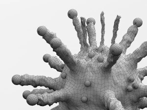 Corona Virus 3D Model