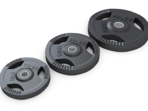 Gym Weight Plates Model 3D
