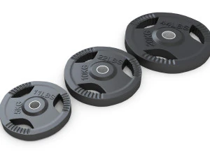 Discos de pesas para gimnasio Modelo 3D