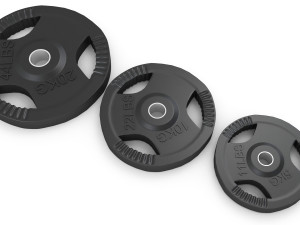 Gym Weight Plates Model 3D