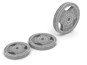 Discos de pesas para gimnasio Modelo 3D