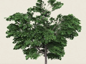 gioco pronto albero forestale 01 Modello 3D