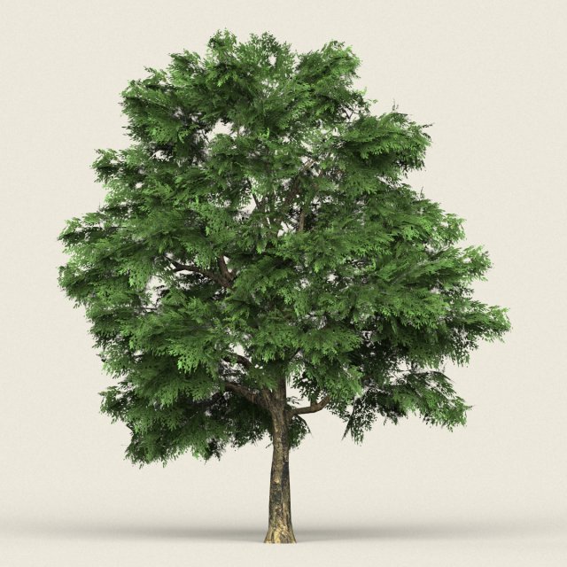 game ready forest tree 03 3D Model .c4d .max .obj .3ds .fbx .stl .blend 