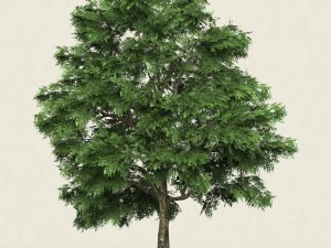 игра готова лесное дерево 03 3D Модель