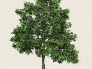 game ready forest tree 03 3D Model