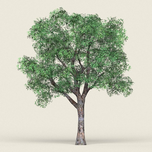 game ready forest tree 04 3D Model .c4d .max .obj .3ds .fbx .stl .blend 