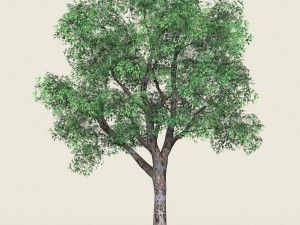 game ready forest tree 04 3D Model
