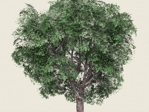 game ready forest tree 05 3D Model