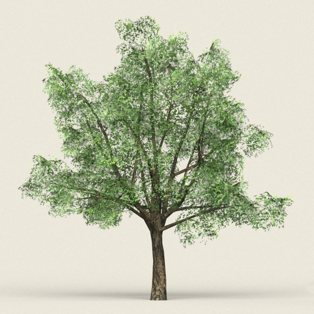game ready forest tree 06 3D मॉडल .c4d .max .obj .3ds .fbx .stl .blend 