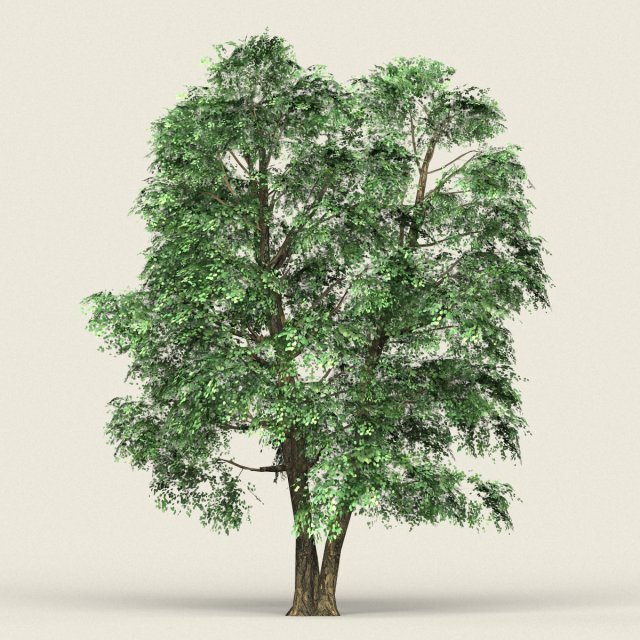 game ready forest tree 07 Modelo 3D .c4d .max .obj .3ds .fbx .stl .blend