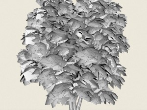 game ready forest tree 07 Modelo 3D
