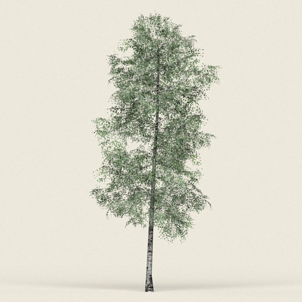 game ready forest tree 09 3D Model .c4d .max .obj .3ds .fbx .stl .blend 