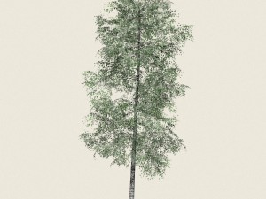 game ready forest tree 09 3D मॉडल