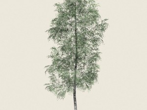 game ready forest tree 09 3D-Modell