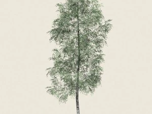 game ready forest tree 09 3D Model