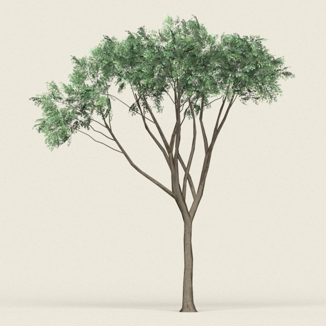 game ready forest tree 10 3D Model .c4d .max .obj .3ds .fbx .stl .blend 
