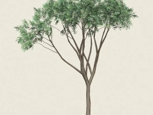 game ready forest tree 10 3D Model