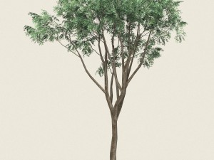 game ready forest tree 10 3D Model