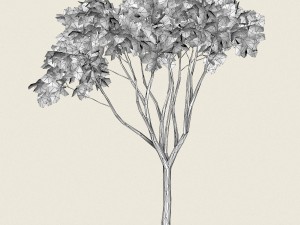 game ready forest tree 10 3D Model