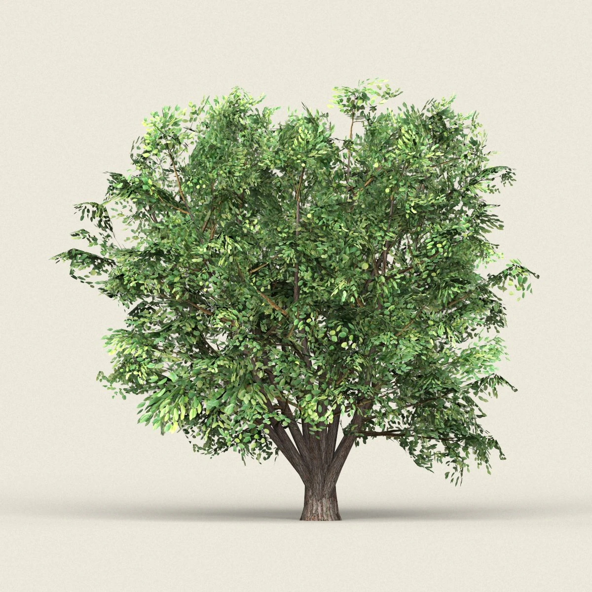 game ready forest tree 11 3D Model .c4d .max .obj .3ds .fbx .stl .blend 